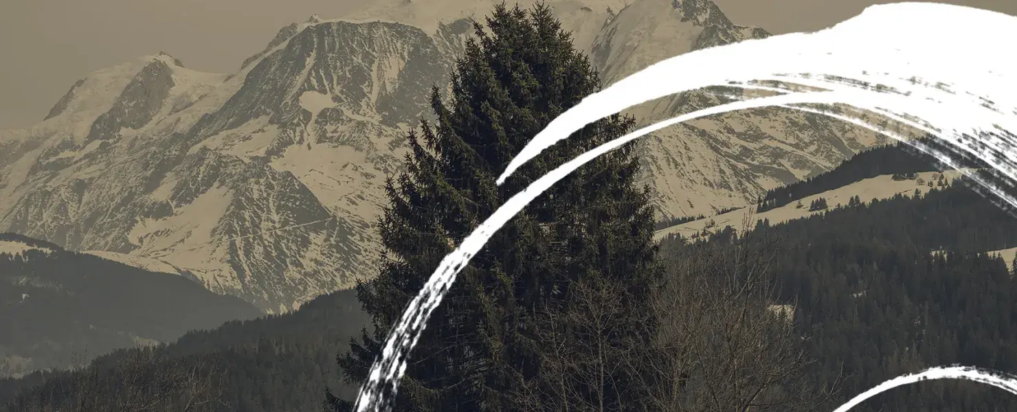 La Puce à l'oreille