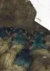 Les Fourberies de Scapin