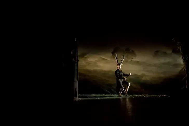 Le Cerf et le Chien 17/18